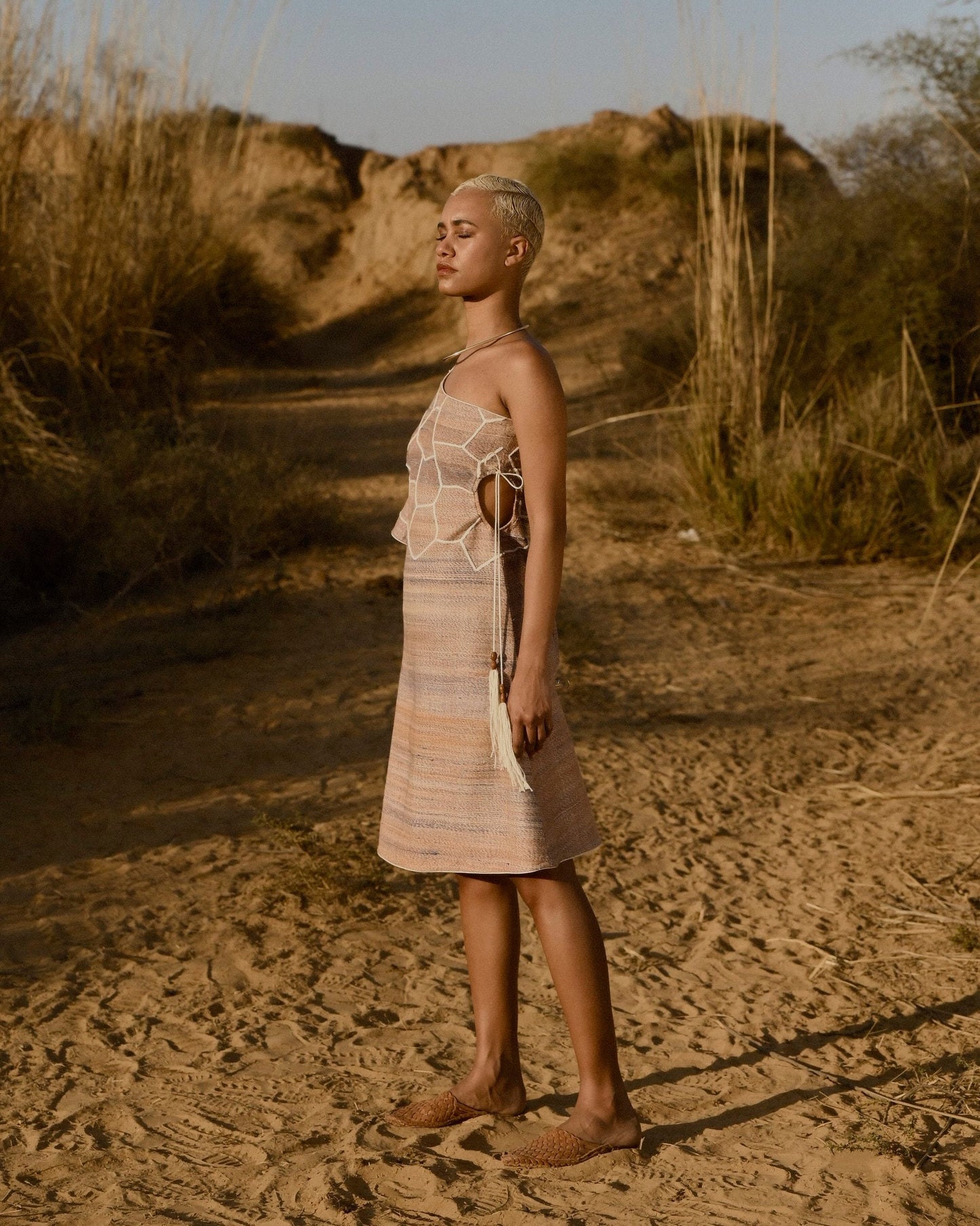 Gazelle Dress