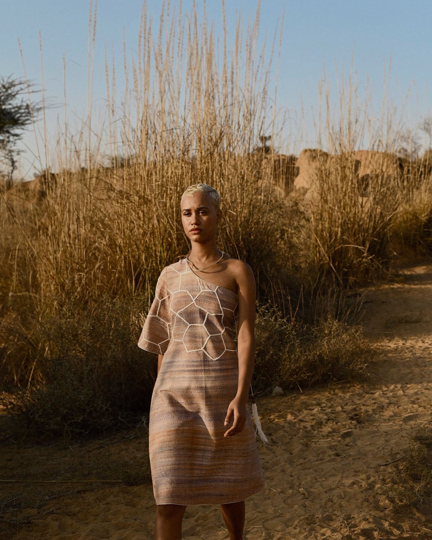Gazelle Dress